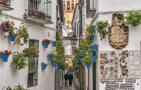 Recorre una de las calles más populares de Córdoba llena de flores